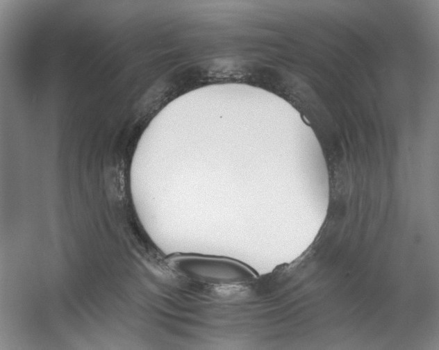 X0000060780183200512011649