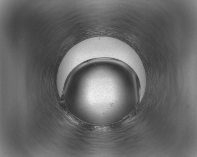 X0000060780185200512011649