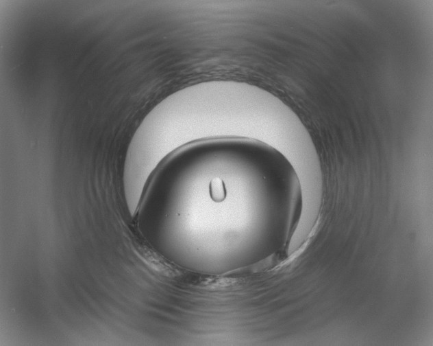 X0000060780186200512011649