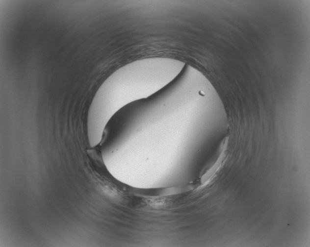 X0000060780187200512011649