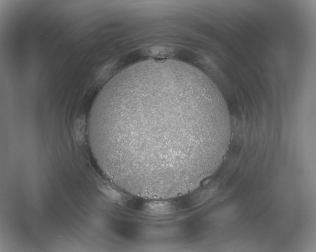 X0000060780189200512011649