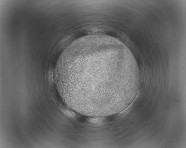 X0000060780191200512011649