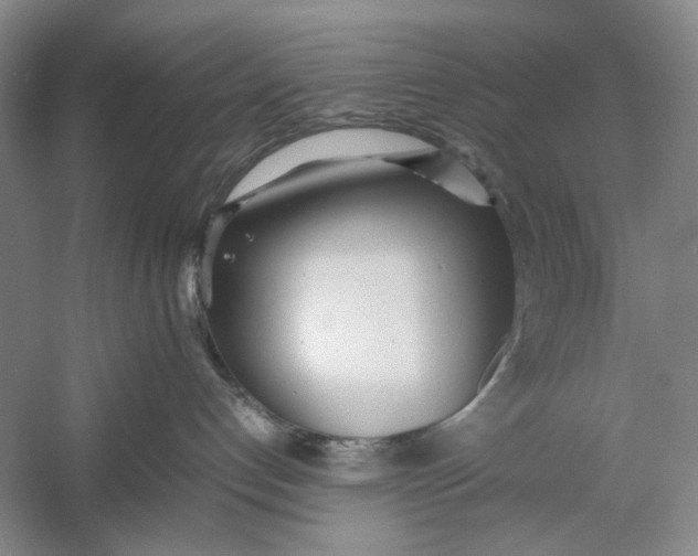 X0000060780192200512011649