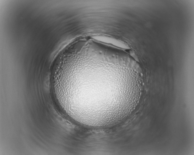 X0000060780194200512011648