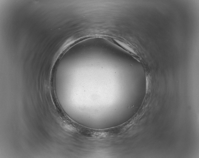 X0000060780195200512011648