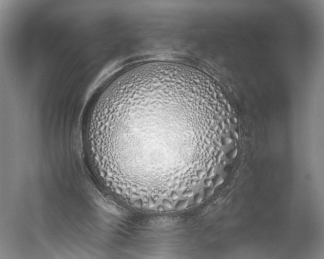 X0000060780198200512011648