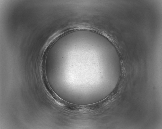 X0000060780199200512011648