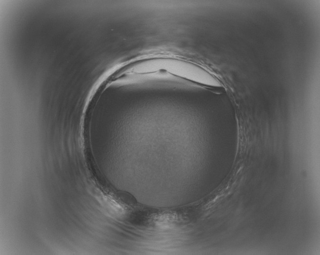 X0000060780200200512011648