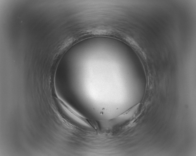 X0000060780201200512011648
