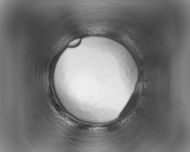 X0000060780202200512011648
