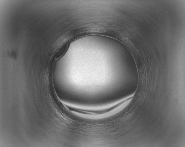 X0000060780207200512011648