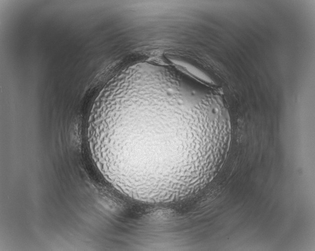 X0000060780210200512011648
