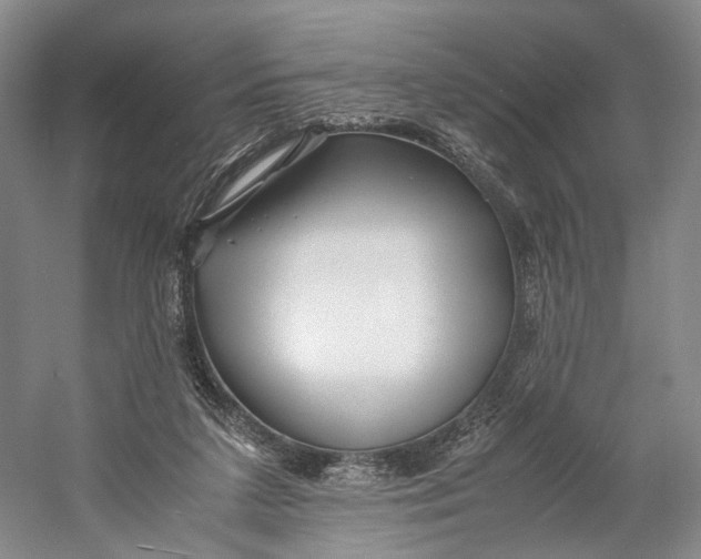 X0000060780211200512011648