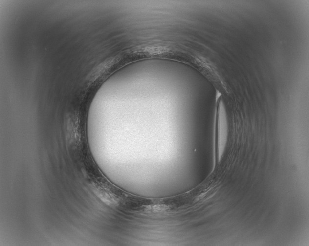 X0000060780212200512011648