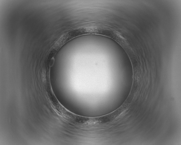 X0000060780213200512011648