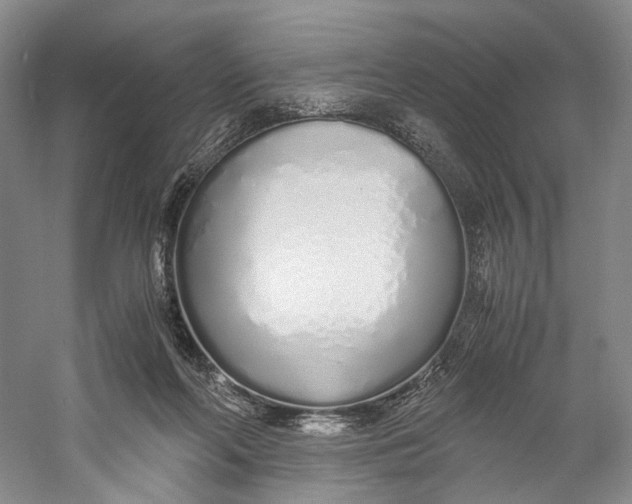 X0000060780214200512011648