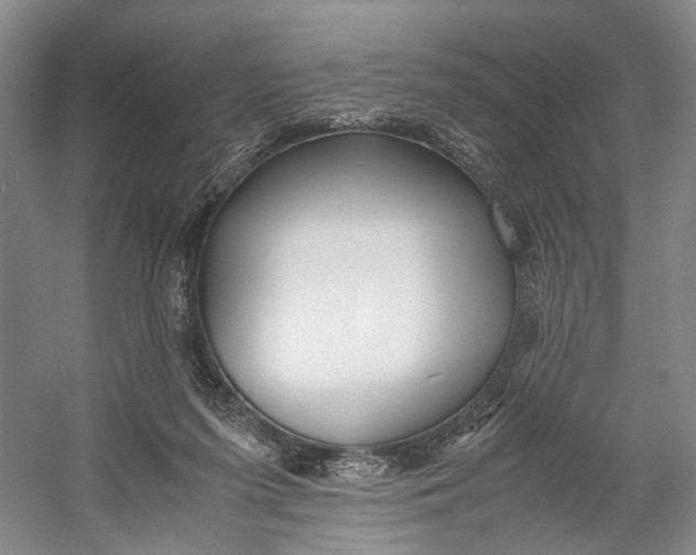 X0000060780215200512011648