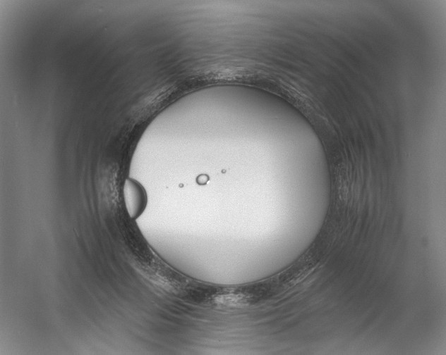 X0000060780216200512011648