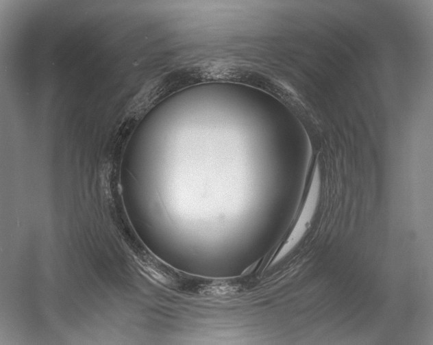 X0000060780217200512011648
