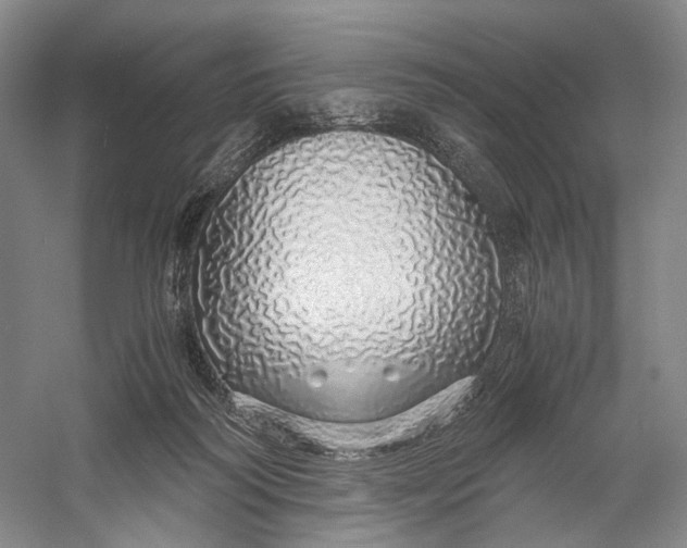 X0000060780218200512011648
