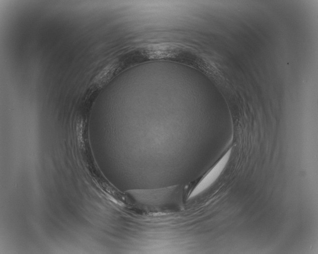 X0000060780219200512011648