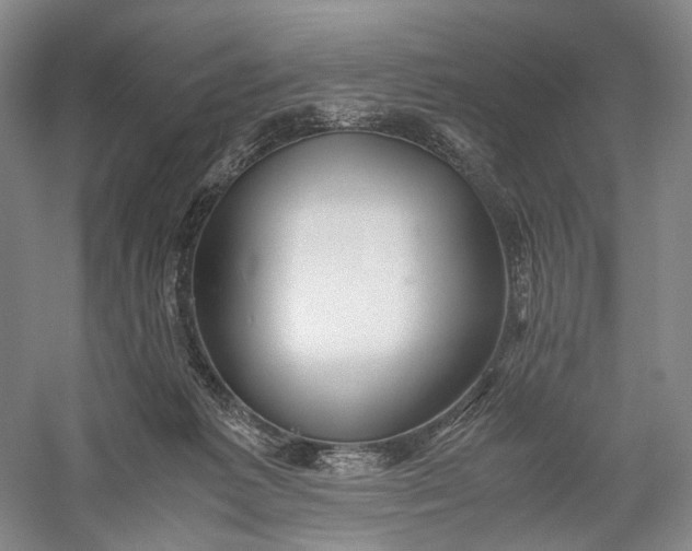 X0000060780221200512011648