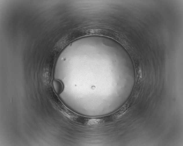 X0000060780222200512011648