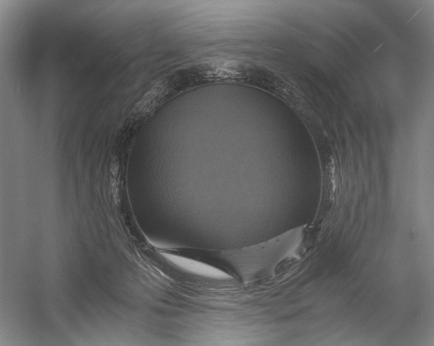X0000060780223200512011647