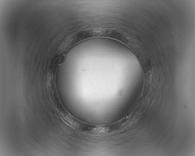 X0000060780225200512011647