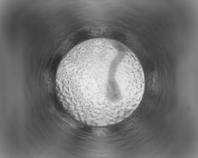 X0000060780226200512011647