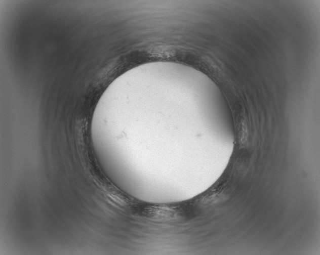 X0000060780229200512011647
