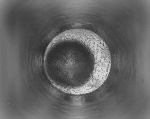 X0000060780230200512011647