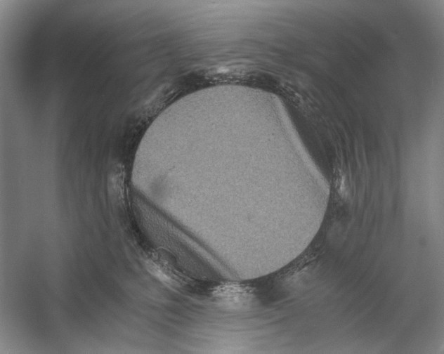 X0000060780231200512011647
