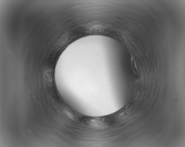 X0000060780232200512011647