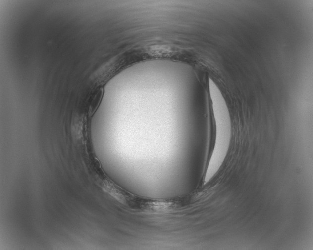 X0000060780233200512011647