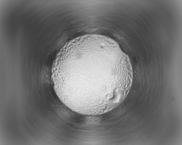 X0000060780234200512011647
