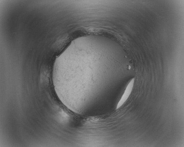 X0000060780235200512011647