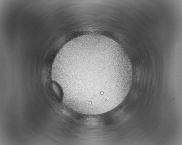 X0000060780236200512011647
