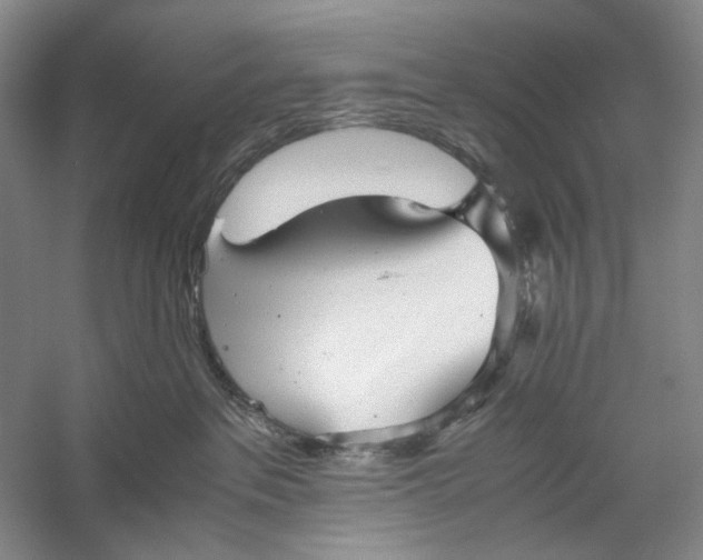 X0000060780237200512011647