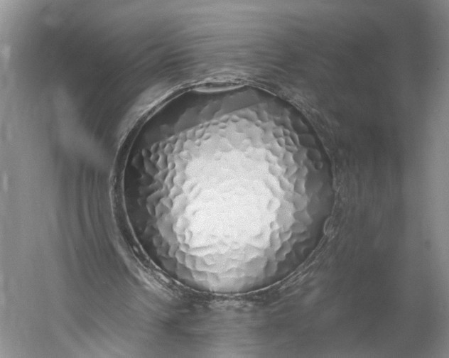 X0000060780242200512011646