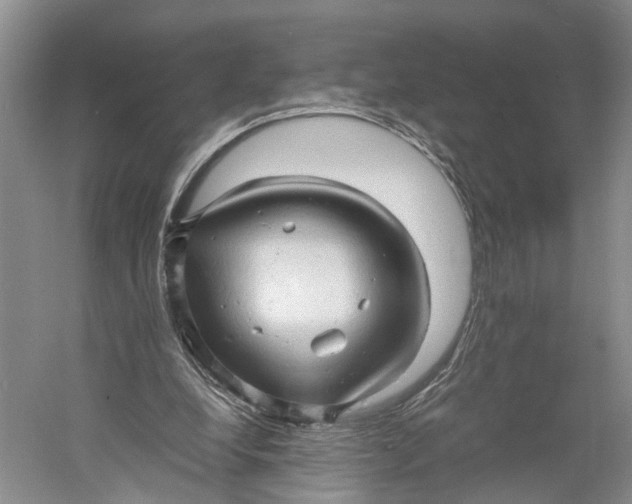 X0000060780248200512011646