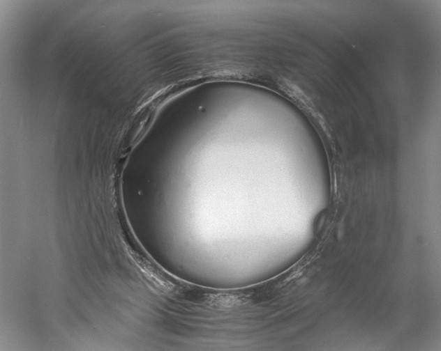 X0000060780249200512011646