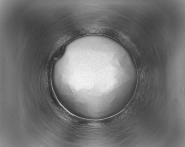 X0000060780250200512011646