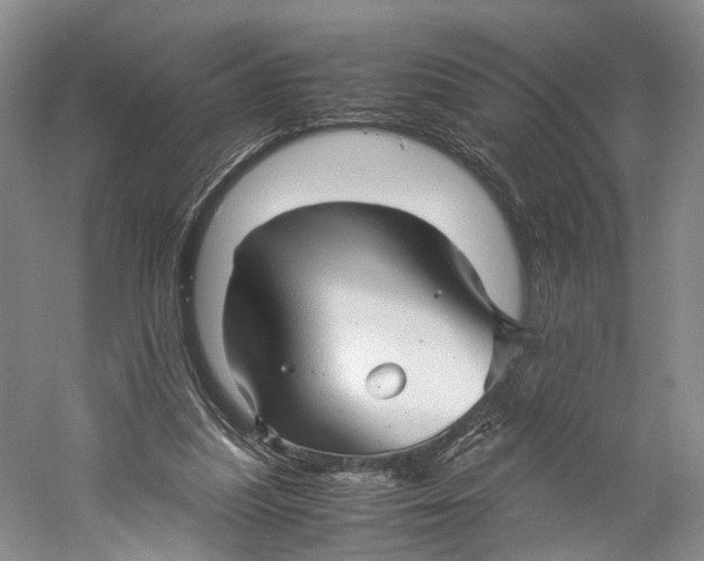 X0000060780251200512011647