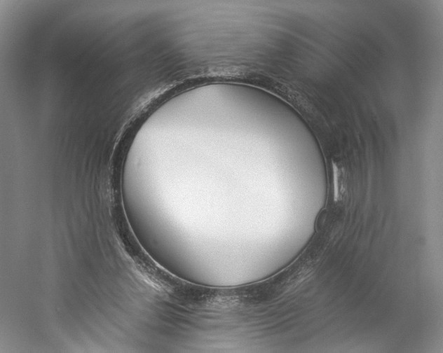 X0000060780252200512011647