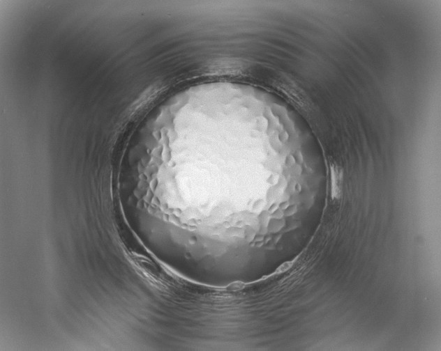 X0000060780253200512011647