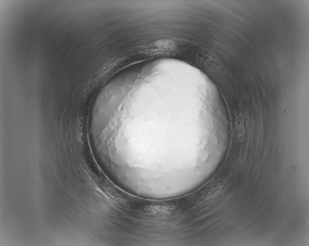 X0000060780255200512011647