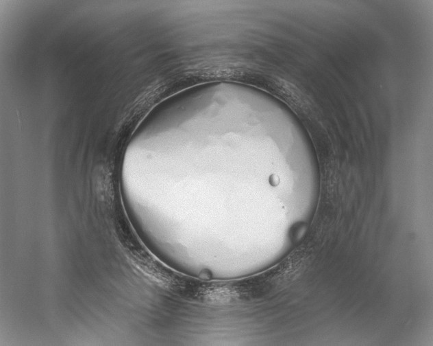 X0000060780258200512011647
