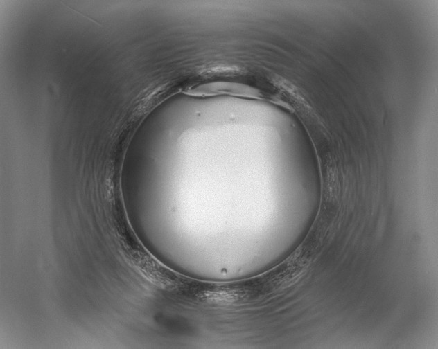 X0000060780259200512011647