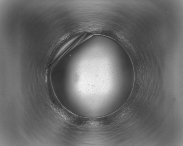 X0000060780260200512011647